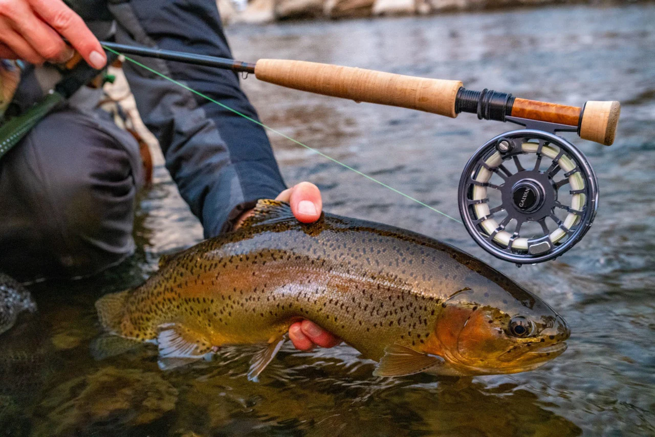 Top 5 Best Fly Fishing Reels