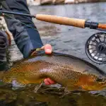 Top 5 Best Fly Fishing Reels