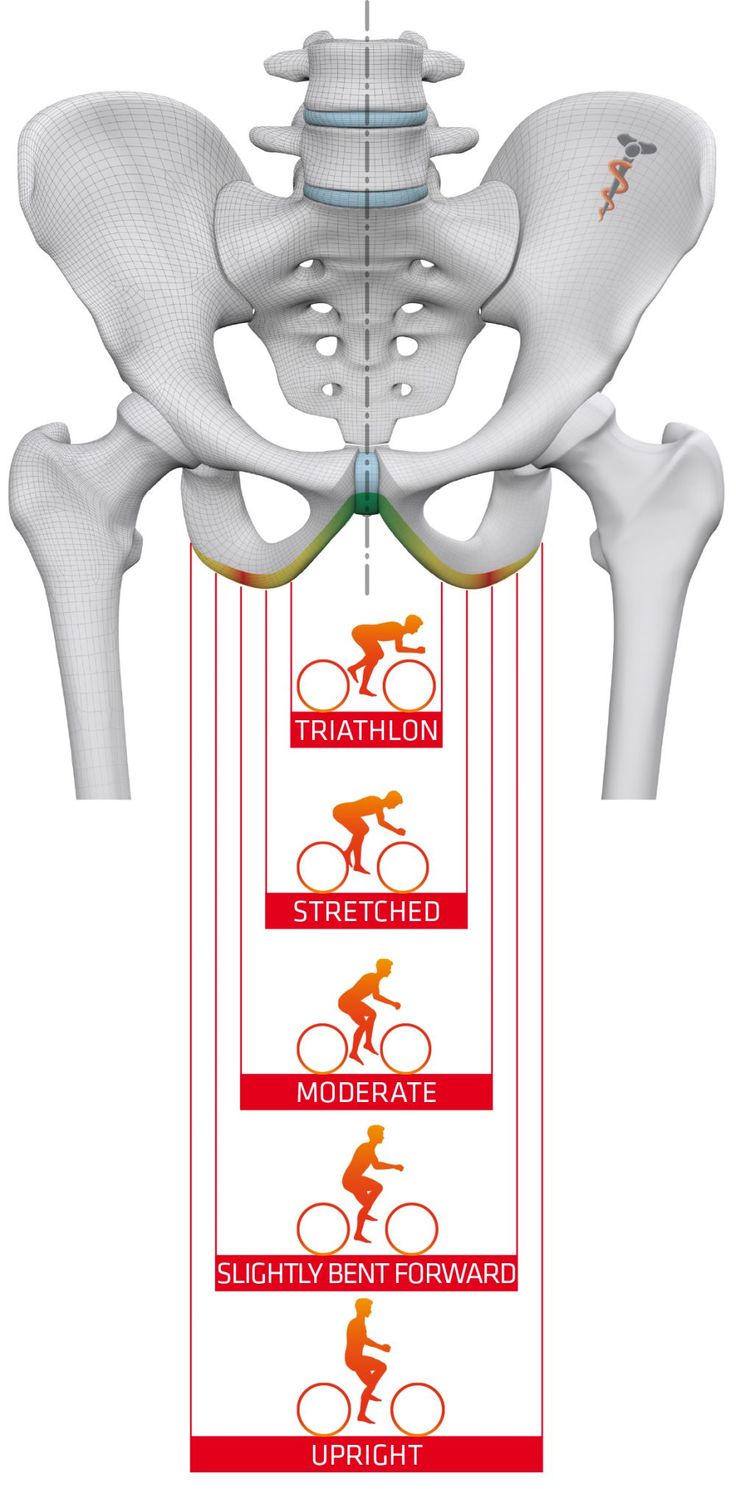 How to Select the Right Saddle Size